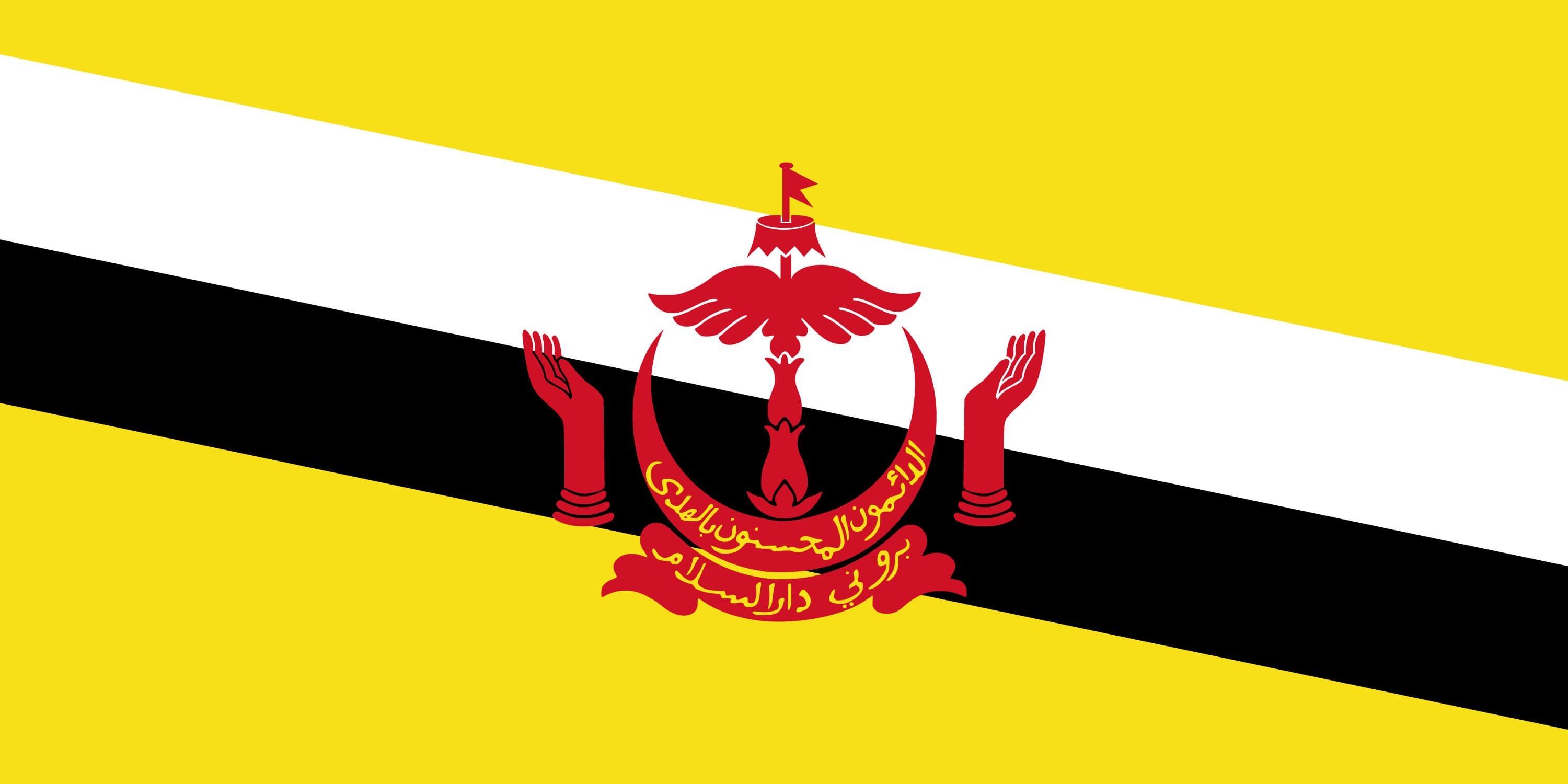 Flag_of_Brunei-01 (1).jpg